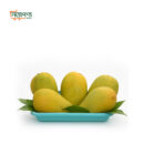 কাটিমন_Katimon_Nittoponno_online